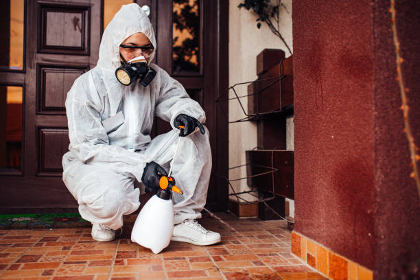 Reliable Bed Bug Control contractor in Sugarland Run, VA by Nex Pest Control