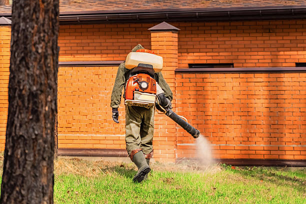 Trusted Bed Bug Control service in Sugarland Run, VA - Nex Pest Control